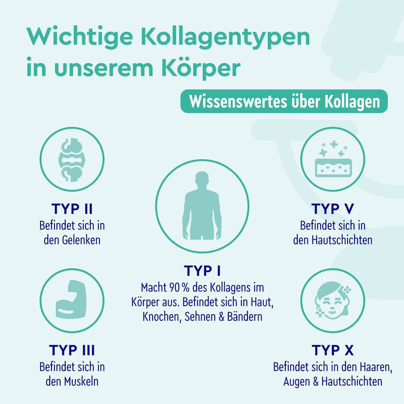 Kollagen + Hyaluron + Q10 Kapseln Zusammensetzung