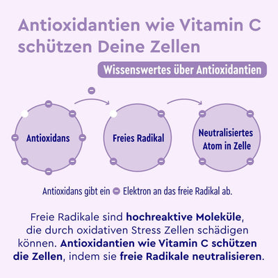 OPC Traubenkernextrakt + Vitamin C 180 Kapseln Zusammensetzung